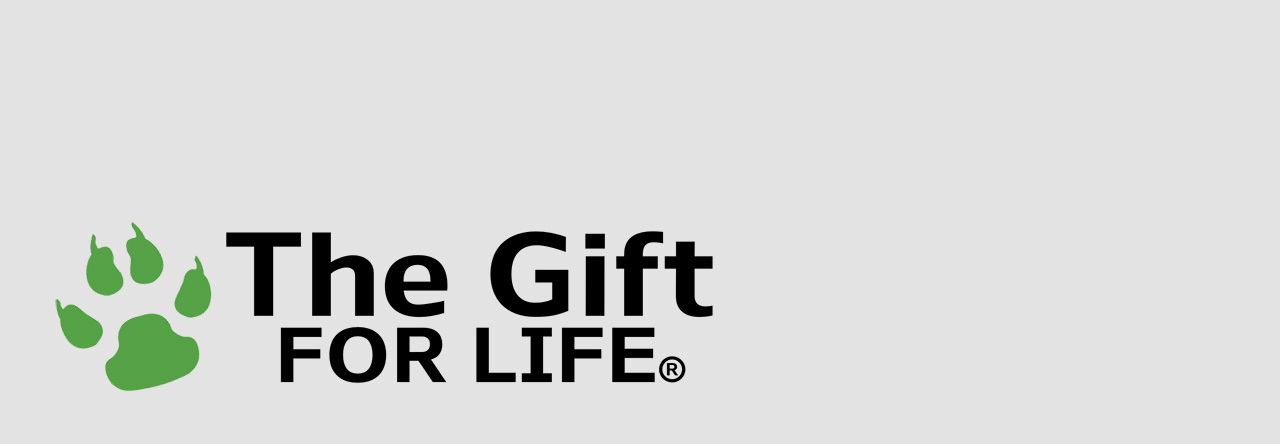 The Gift For Life