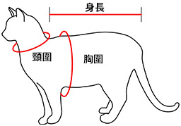 量度貓隻身形