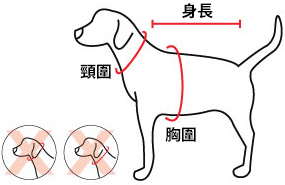 量度狗隻身形